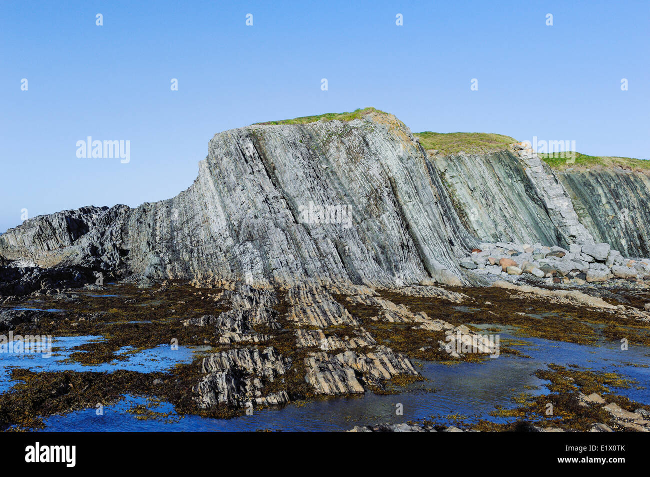 Schiefer Kalksteinfelsen am Green Point site global Stratotype für the Cambrian auf die richtige Ordovizium auf der linken Gros Stockfoto