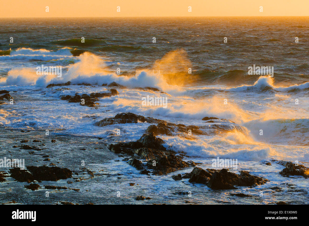 Wellen des Atlantischen Ozeans traf Green Point in Gros Morne National Park, Neufundland. Kanada. Stockfoto