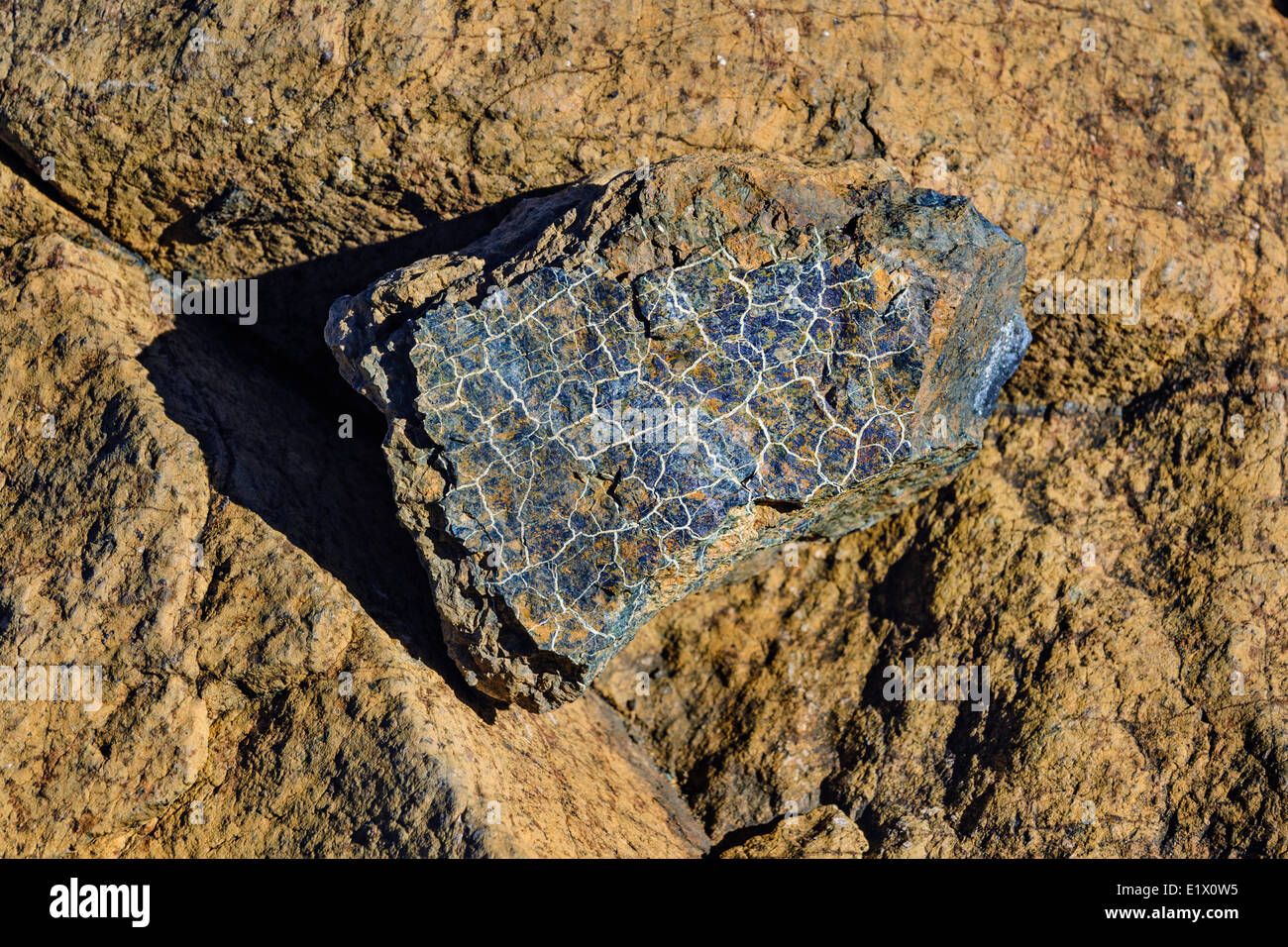 TABLELANDS. Peridotit Rock ist selten auf der Erde Oberfläche Grund für die Benennung der UNESCO-Welterbe von UNESCO Gros Morne National Stockfoto