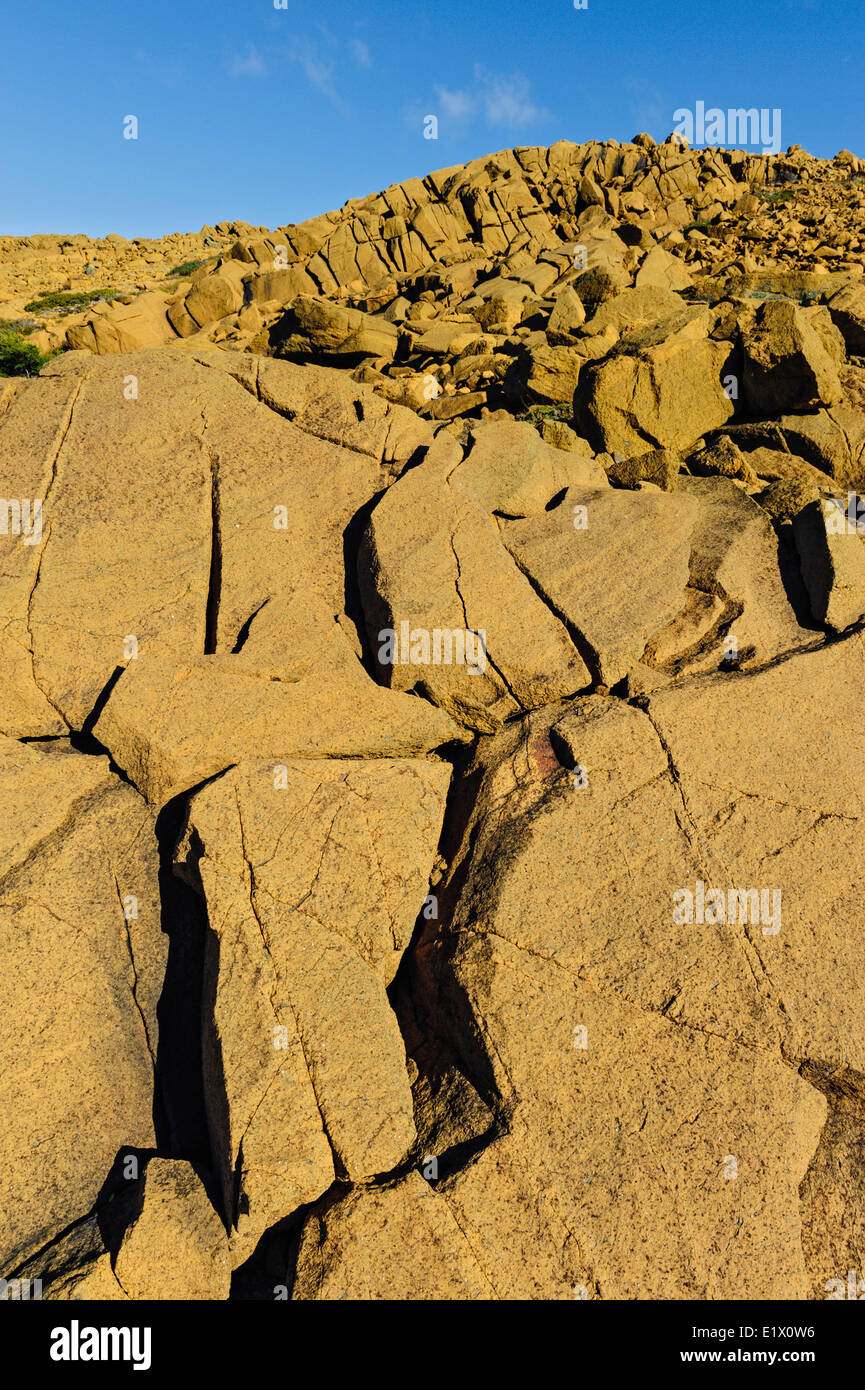 TABLELANDS. Peridotit Rock ist selten auf der Erde Oberfläche Grund für die Bezeichnung Weltkulturerbe der UNESCO. Gros Morne Stockfoto