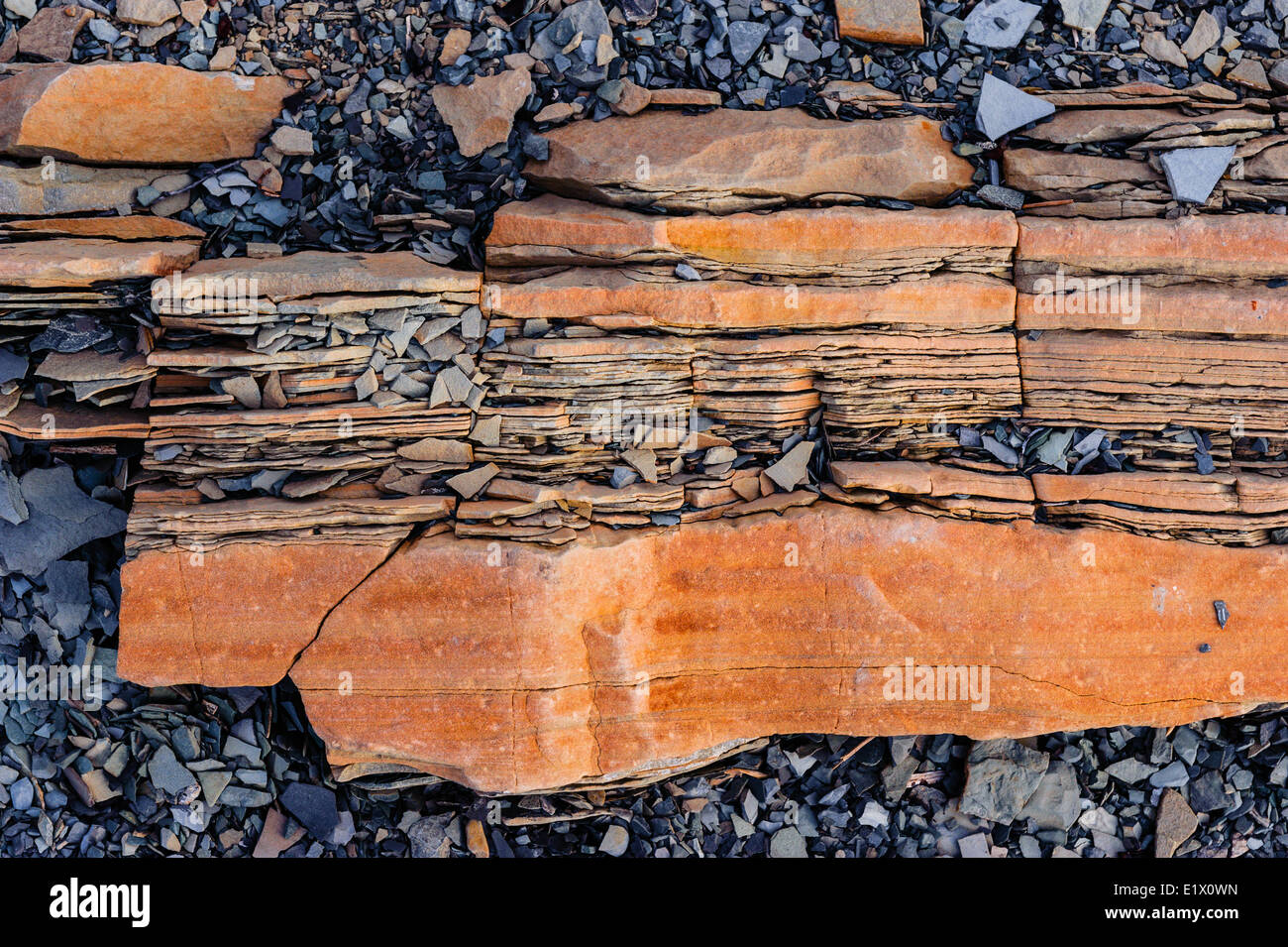 Oxidierte Schiefer am Green Point Standort global Stratotype für die kambrische Ordovician geologische Grenze. Gros Morne National Stockfoto