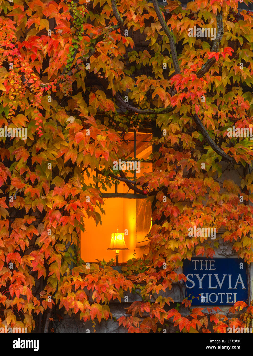 Sylvia Hotel und Boston-Efeu, Vancouver, Britisch-Kolumbien, Kanada Stockfoto