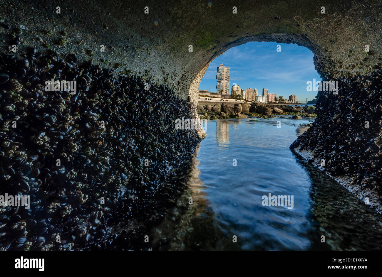 Drainagerohr Abfluss zum Dundarave Beach, West Vancouver, Britisch-Kolumbien, Kanada Stockfoto