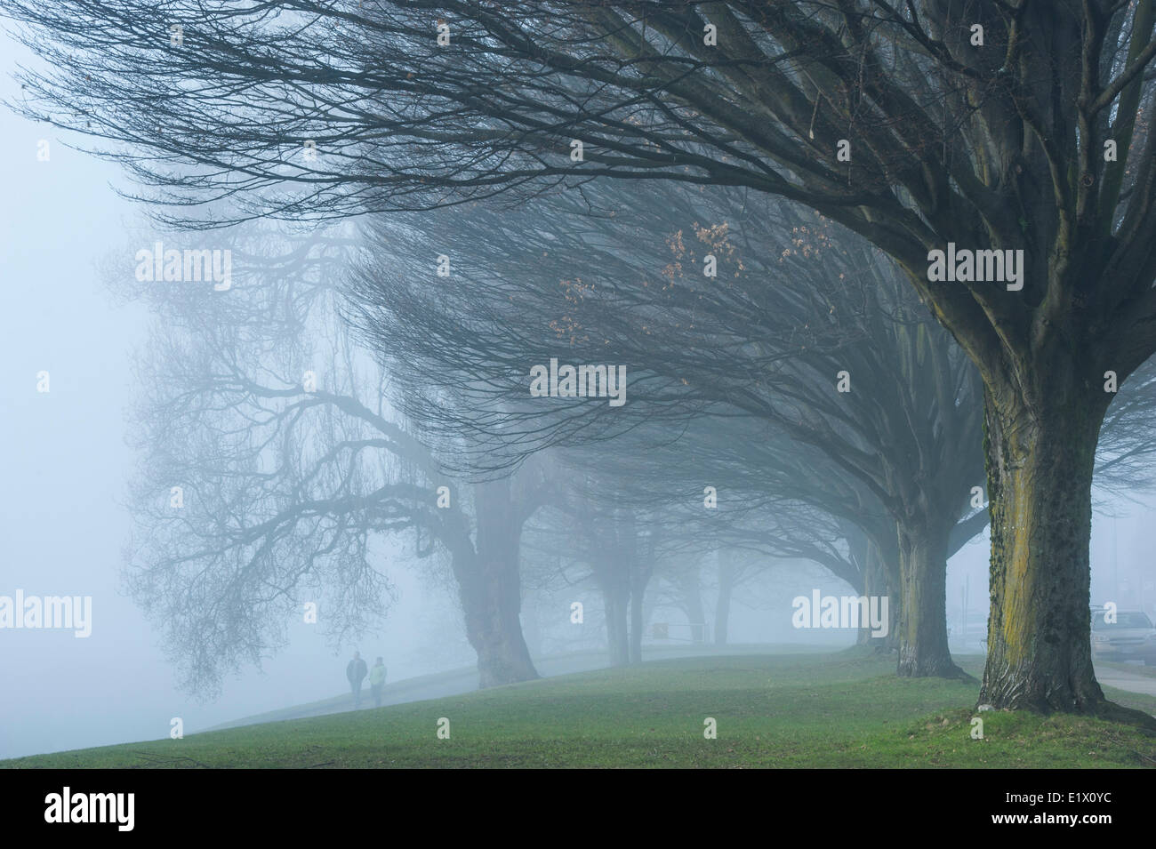 Nebel, Strand Ave. Stockfoto