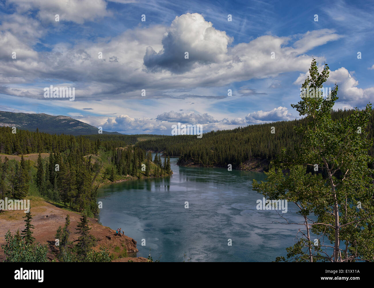 Yukon River fließt in Miles Canyonon ein Summerafternoon, Whitehorse, Yukon. Stockfoto