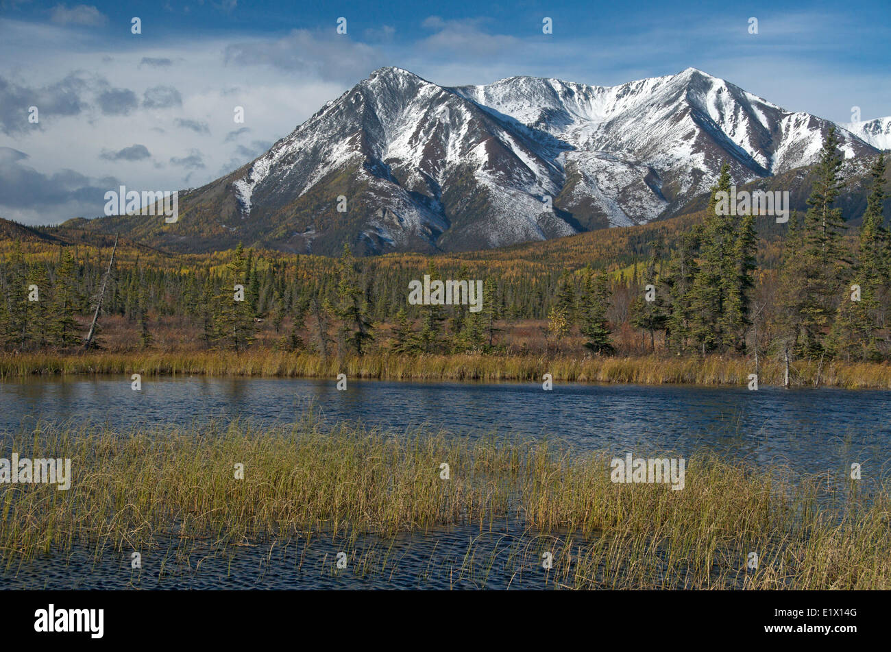 St. Elias Range, in der Nähe von Haken, Yukon-Territorium über den Alaska Highway, Kanada. September. Stockfoto