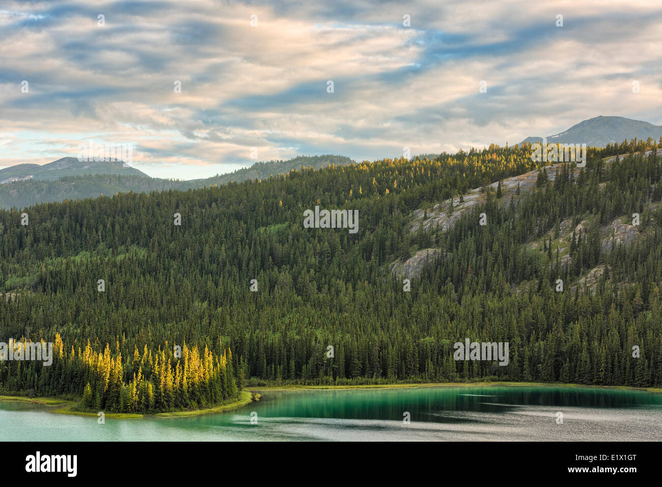 Emerald Lake, mit Sonnenuntergang Licht, das auf die umliegenden Bergambitionen und Bäume, Yukon. Stockfoto