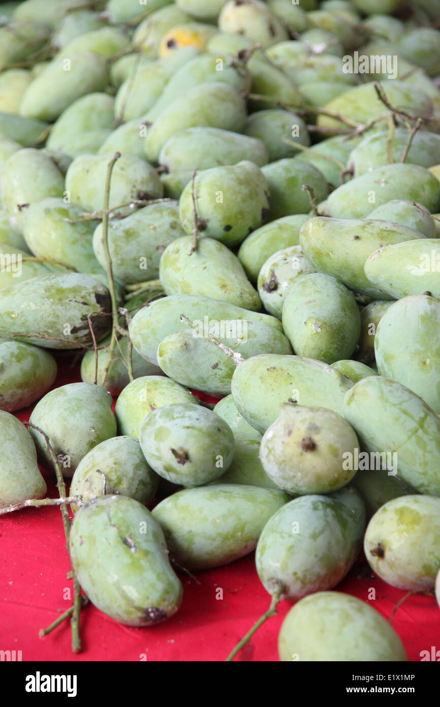 Rohen grünen Mangos auf dem Obstmarkt für den Hintergrund. Stockfoto