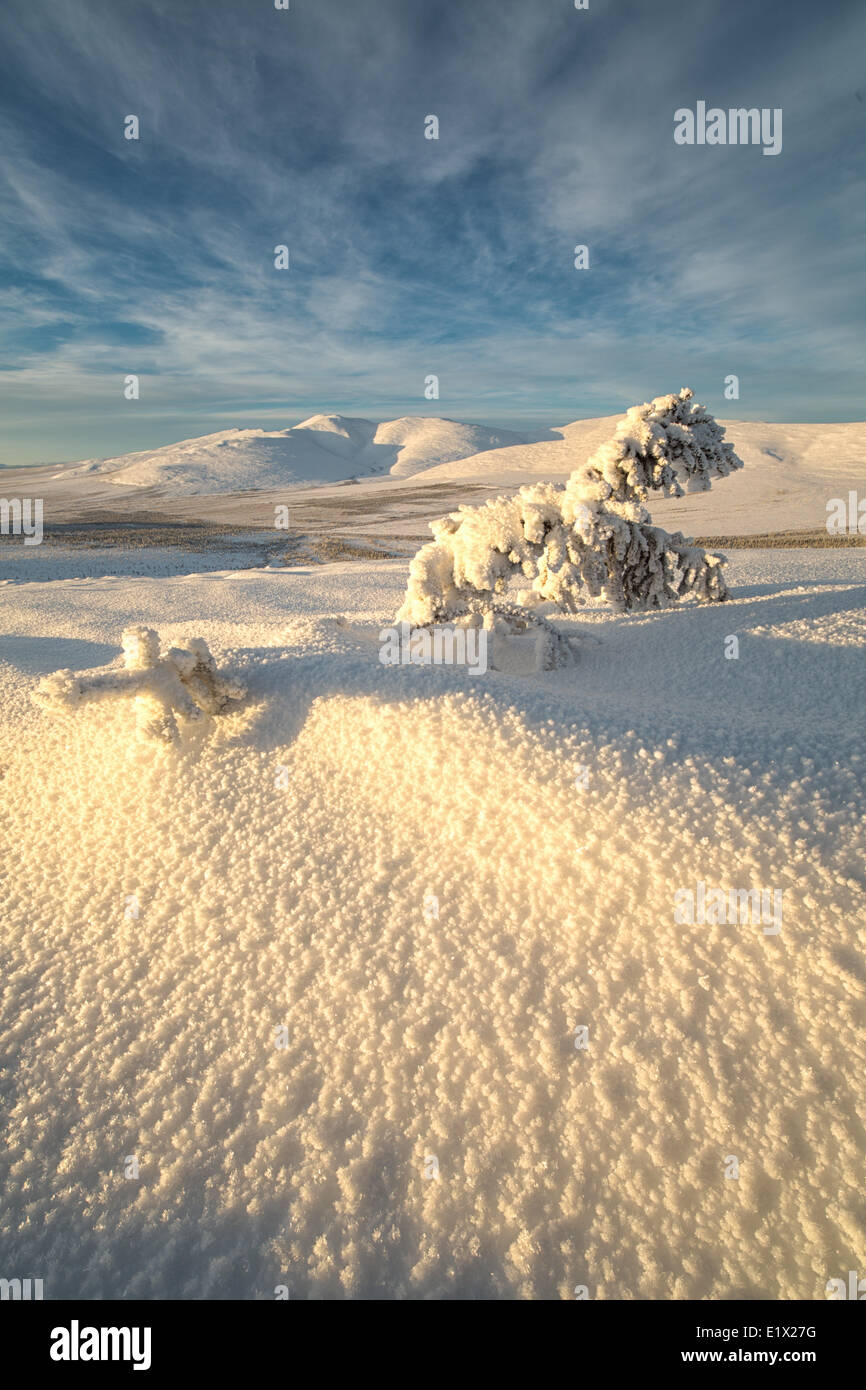 Späten Nachmittag Sonne auf dem Schnee bedeckt Tundra auf den Mountaiins rund um Old Crow, Yukon. Stockfoto