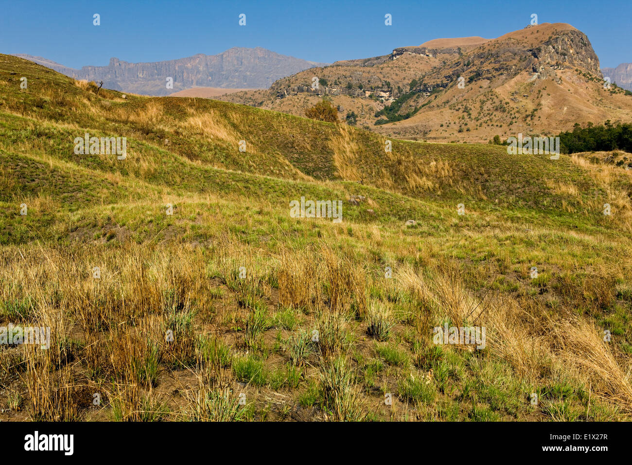 Cathedral Peak National Park, Drakensberge, Kwazulu-Natal, Südafrika Stockfoto