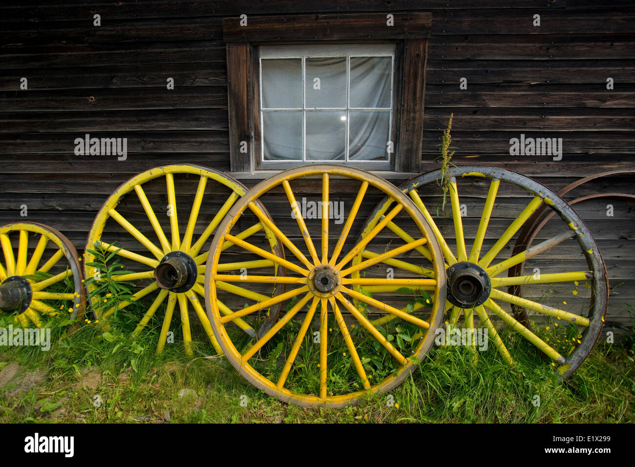 Historischen Goldrausch Townsite von Barkerville, Cariboo Region, British Columbia, Kanada Stockfoto