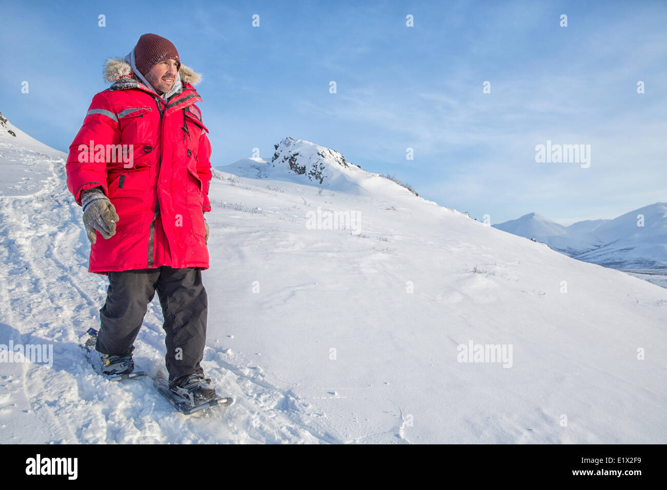 Mann zu Fuß einen Hügel hinunter auf Schneeschuhen entlang der Dempster Highway, Yukon. Stockfoto