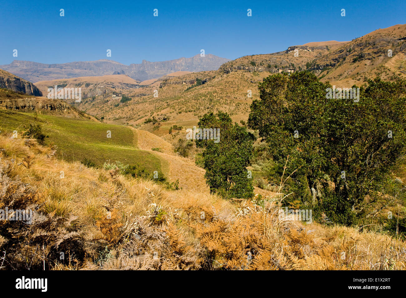 Cathedral Peak National Park, Drakensberge, Kwazulu-Natal, Südafrika Stockfoto