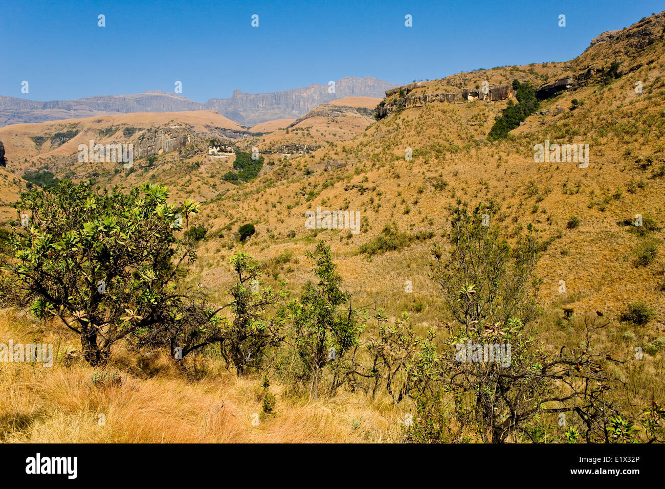 Cathedral Peak National Park, Drakensberge, Kwazulu-Natal, Südafrika Stockfoto