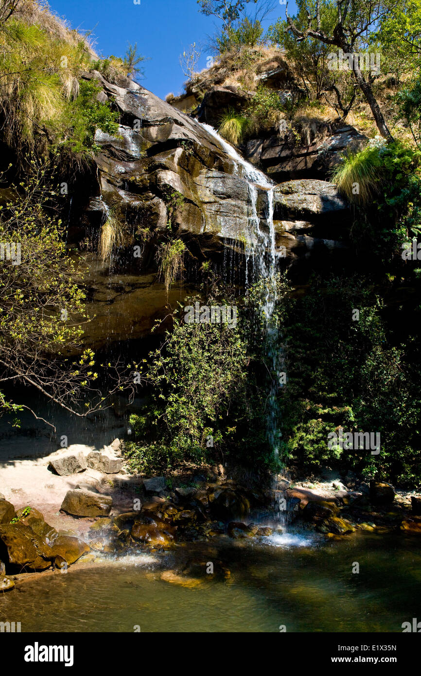 Doreen fällt, Cathedral Peak Park National, Natal Drakensberge, Kwazulu-Natal, Südafrika Stockfoto