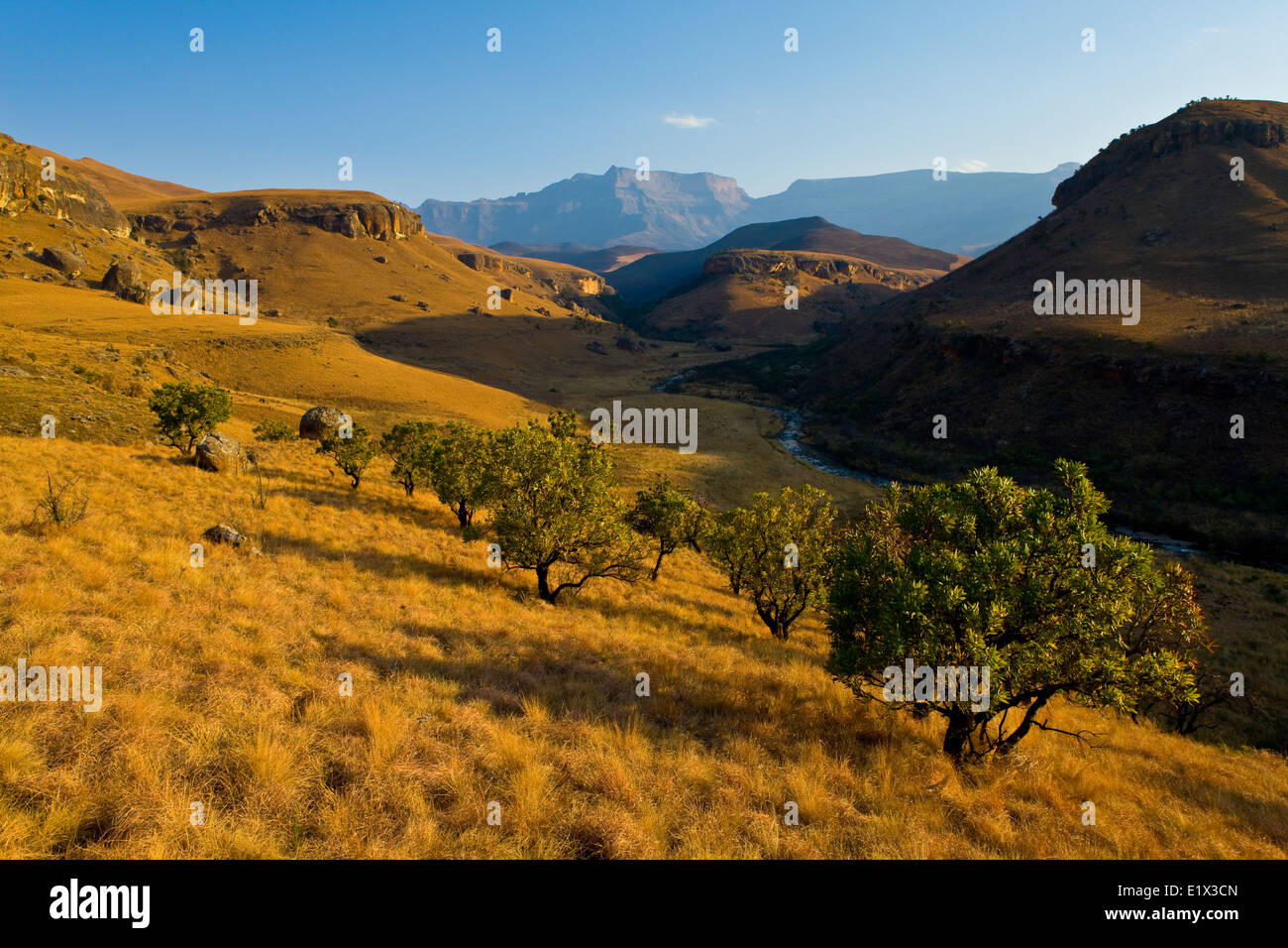 Des Riesen Burg, Drakensberge, Kwazulu-Natal, Südafrika Stockfoto