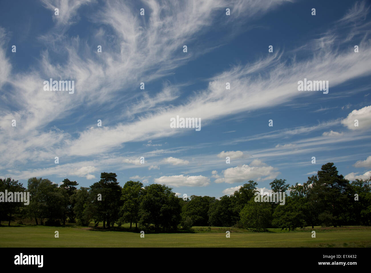 Cirrus Cloud in der oberen Troposphäre über Reigate, Surrey Stockfoto