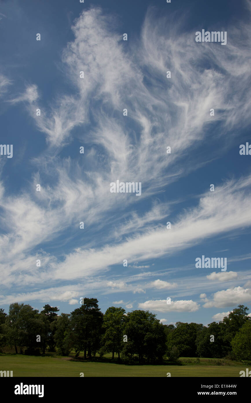 Cirrus Cloud in der oberen Troposphäre über Reigate, Surrey Stockfoto