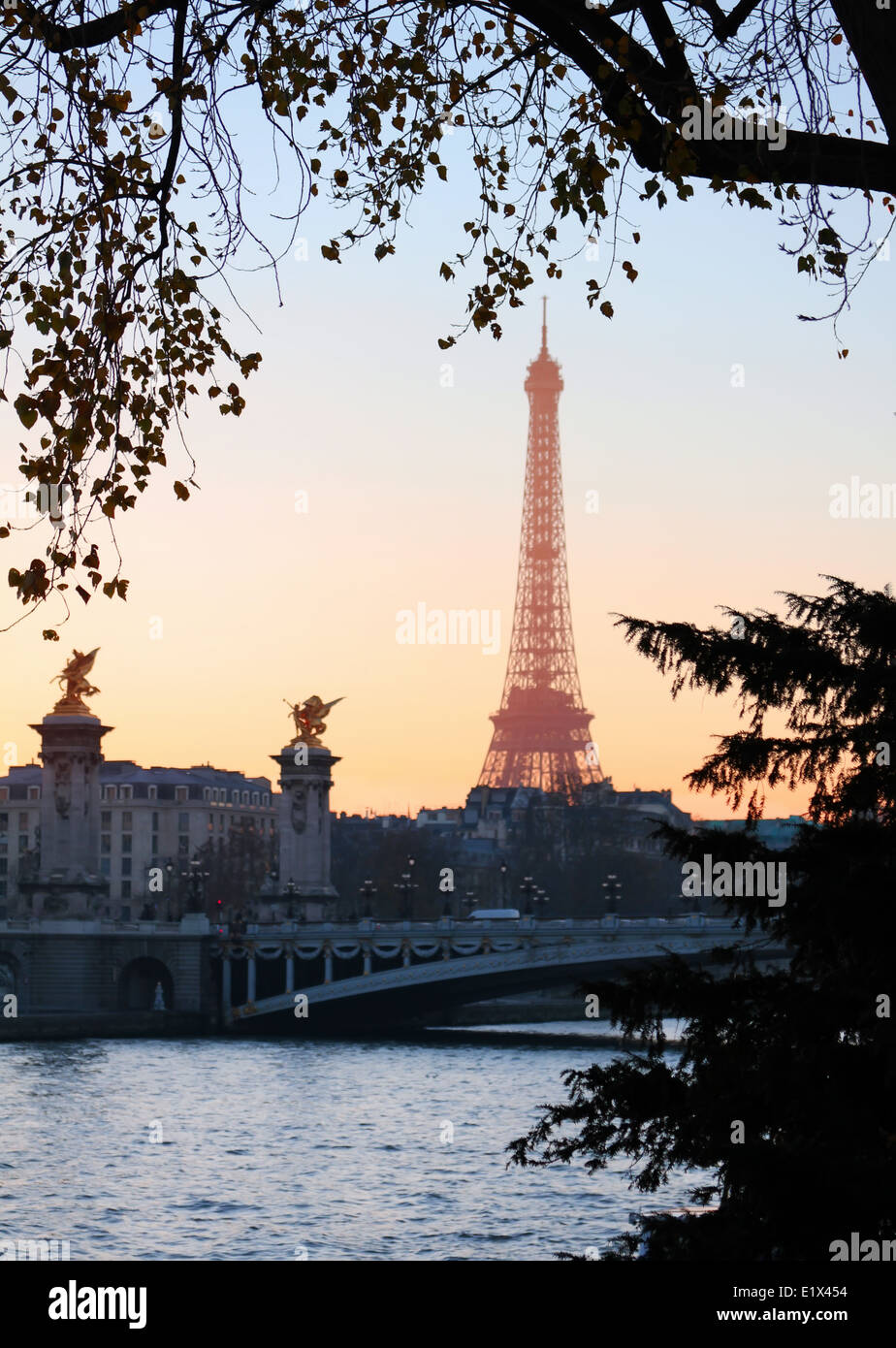 Blick auf Eiffelturm am Abend, Paris, Frankreich Stockfoto