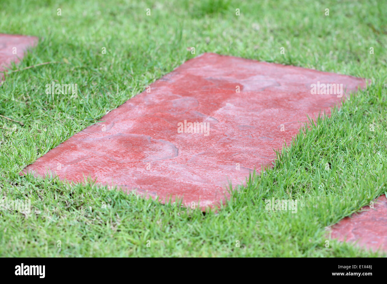 Platte aus rotem Stein auf Rasen im Garten. Stockfoto