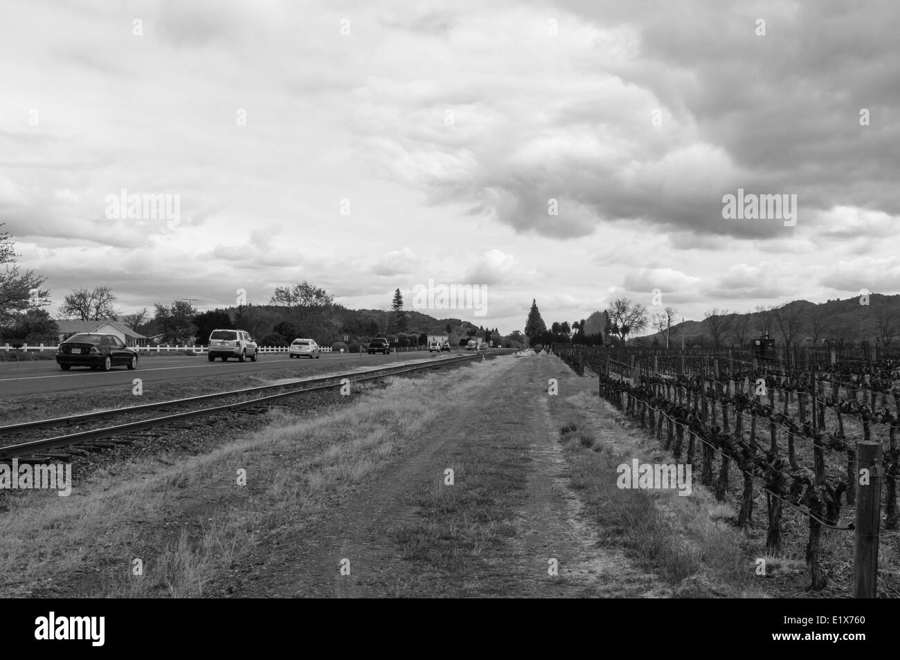 Weinland, Northern California. Stockfoto