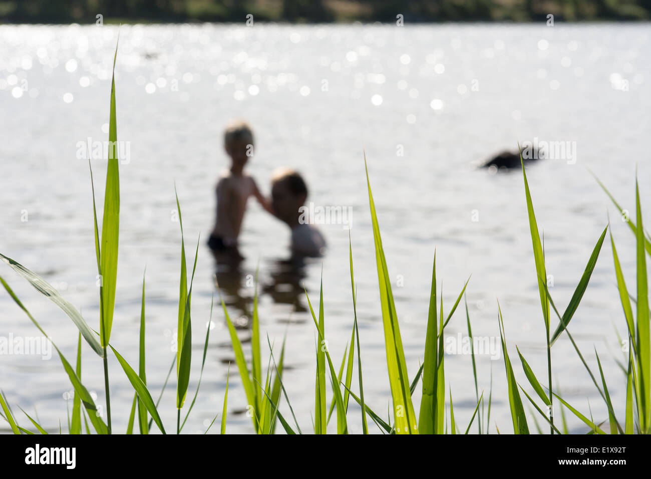 Mutter und Sohn in einem See mit Pflanzen im Vordergrund in Schweden Stockfoto