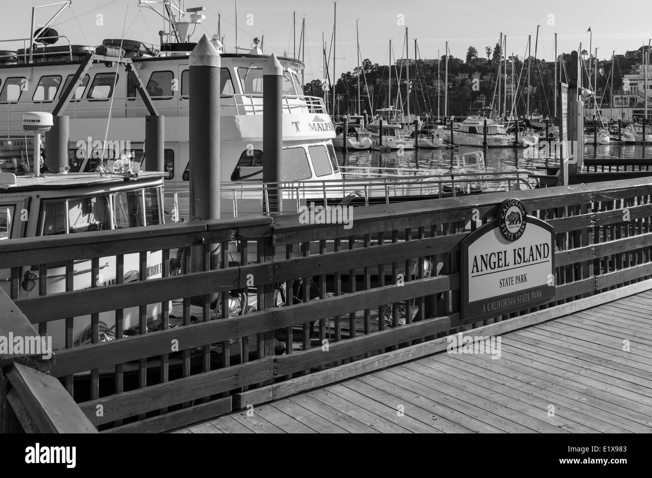 Angel Island Fähre, Tiburon, San Francisco Bay, Kalifornien. Stockfoto