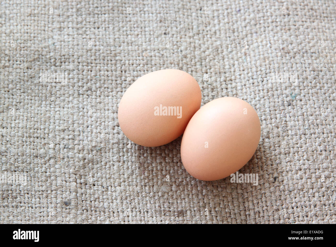Konzentrieren Sie Eiern auf Sackleinen Hintergrund. Stockfoto