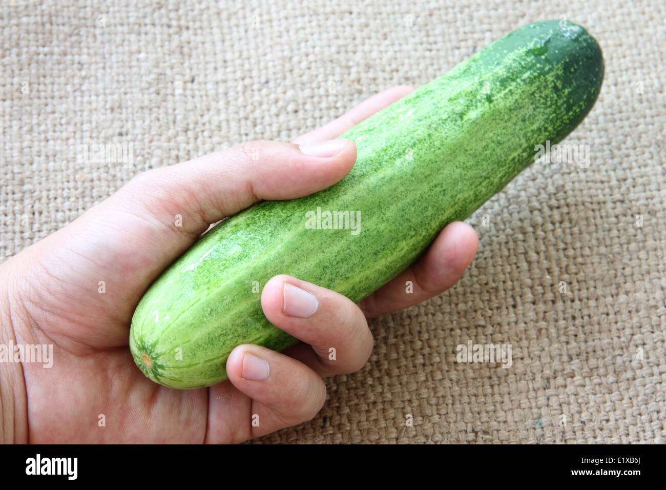 Gemüse Gurke in der Hand auf Sackleinen für Hintergrund. Stockfoto