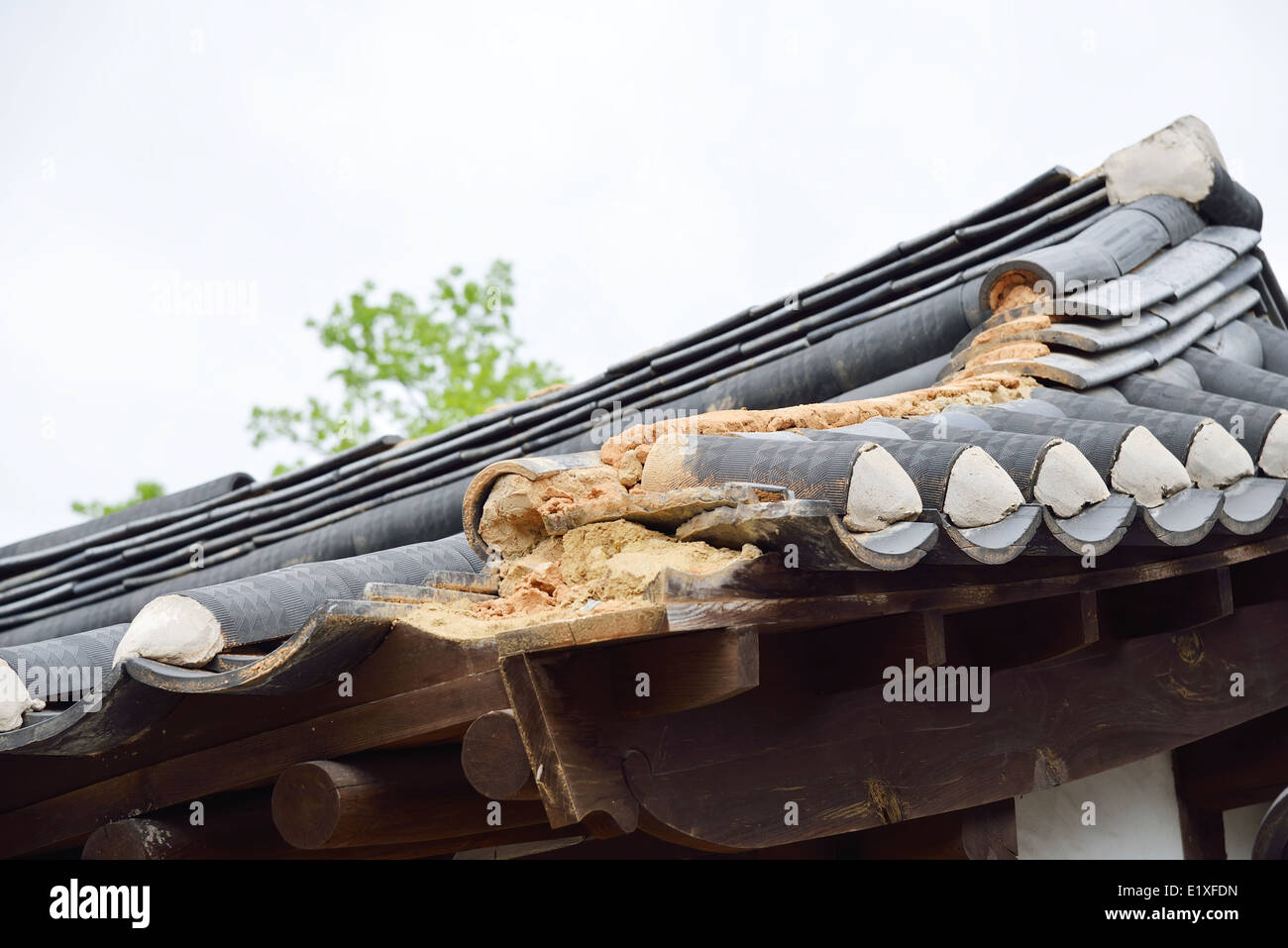 Detail des beschädigten koreanische traditionelle Ziegeldach Stockfoto