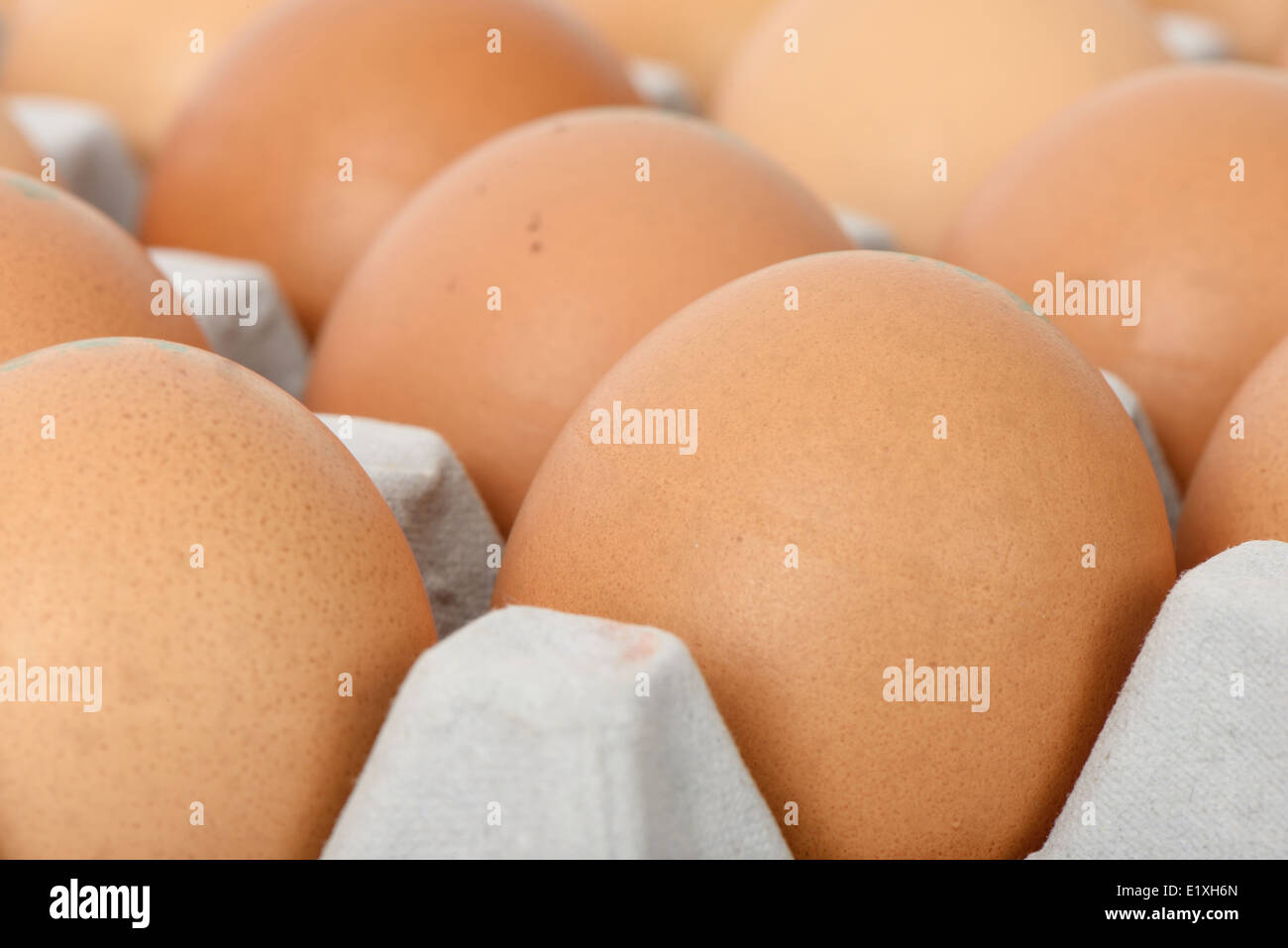 Nahaufnahme von Eiern auf Tablett, isoliert auf weiss Stockfoto