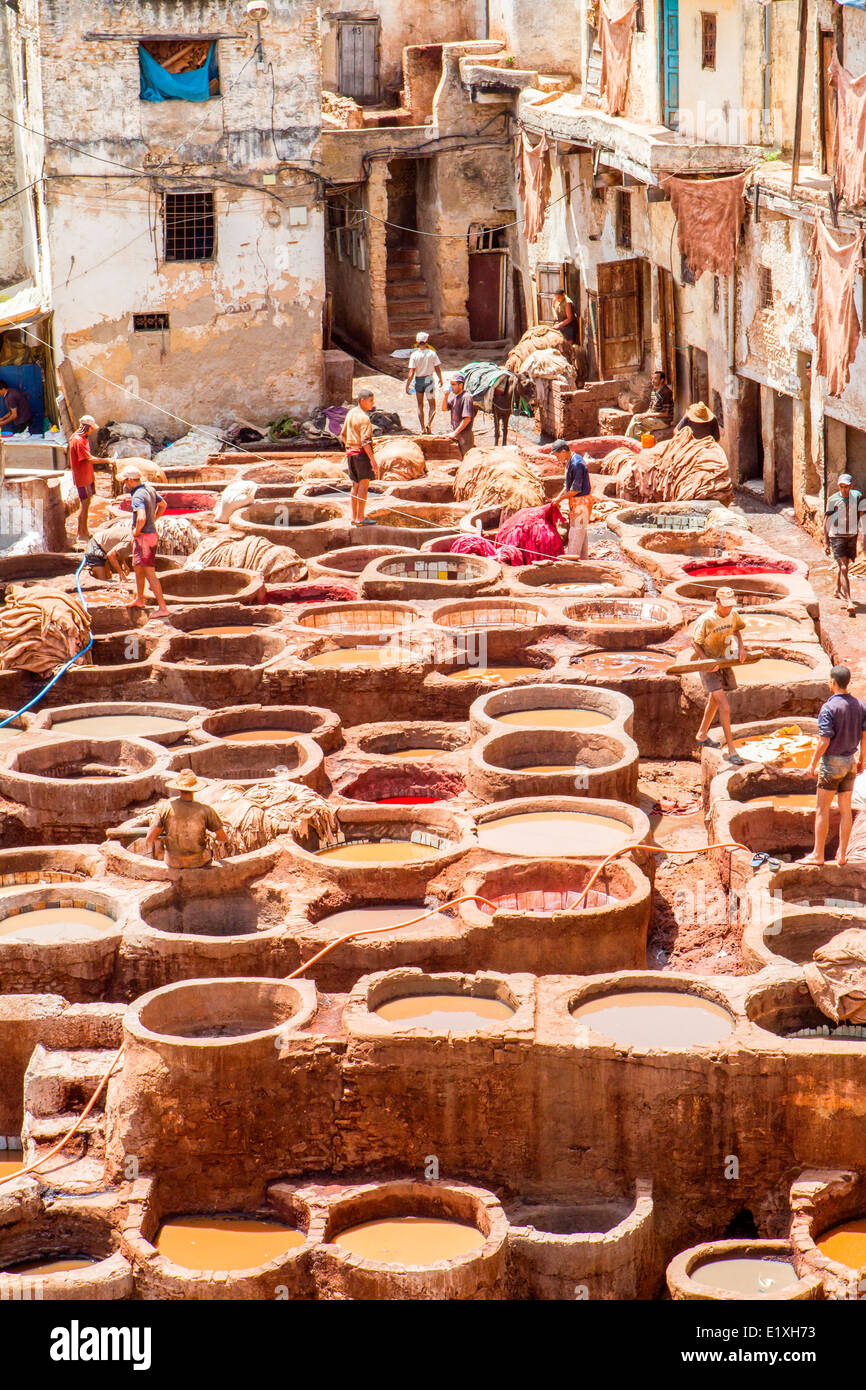 Blick auf das Färben Bottiche im Quartier Gerber, Fez, Marokko. Stockfoto