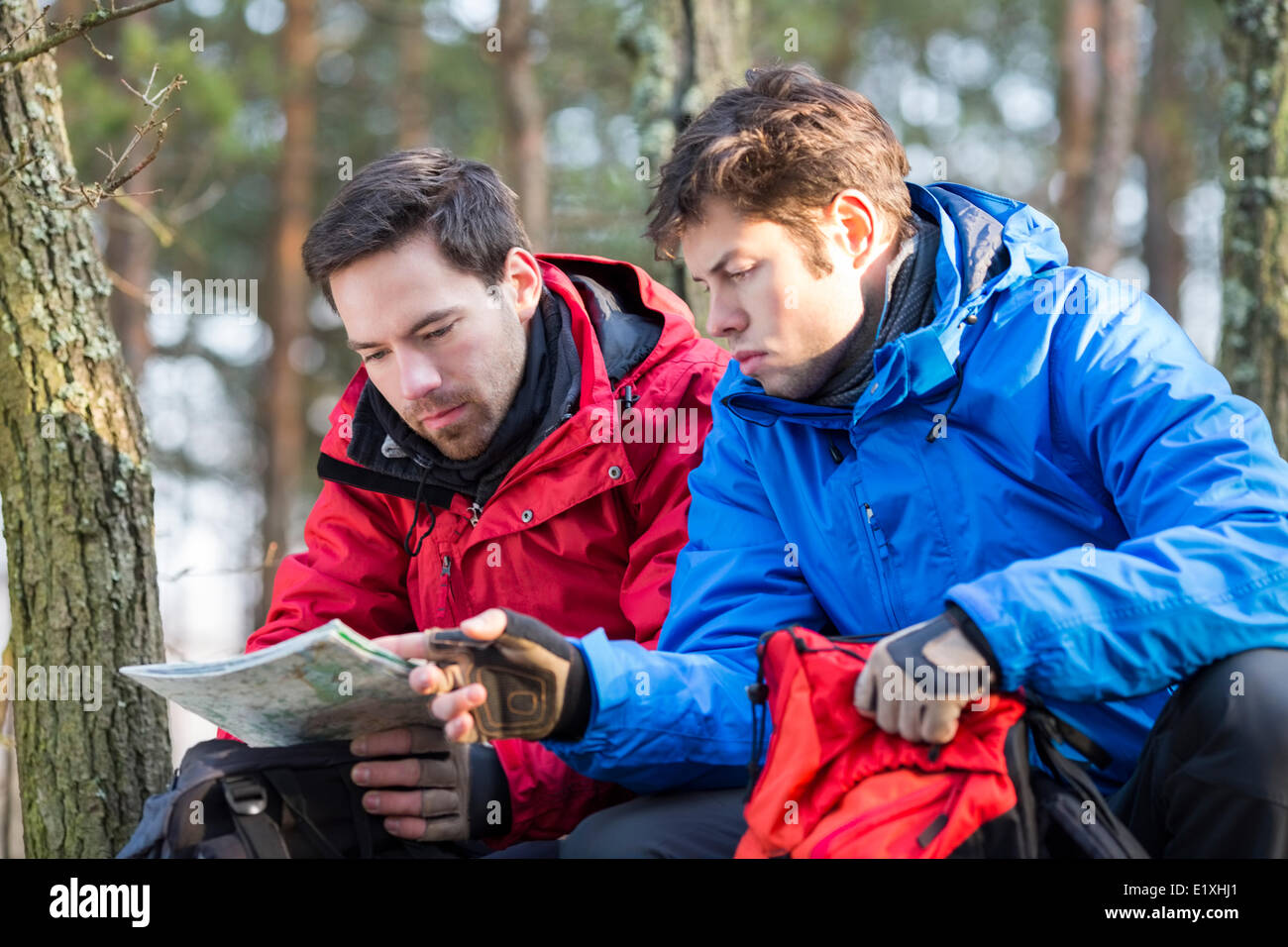 Männliche Backpackers lesen Karte im Wald Stockfoto