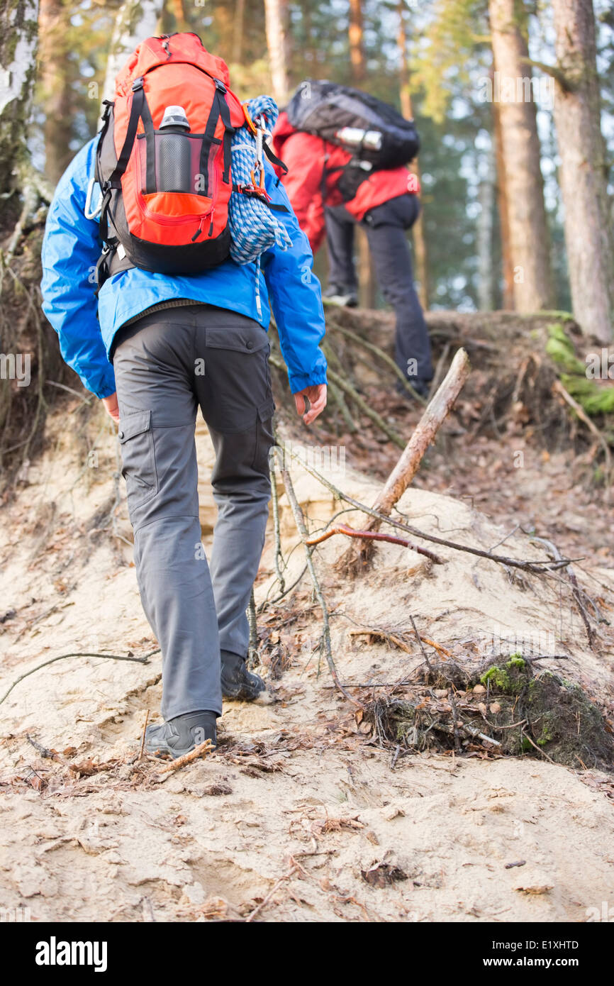 Männliche Rucksacktouristen Wandern im Wald Stockfoto