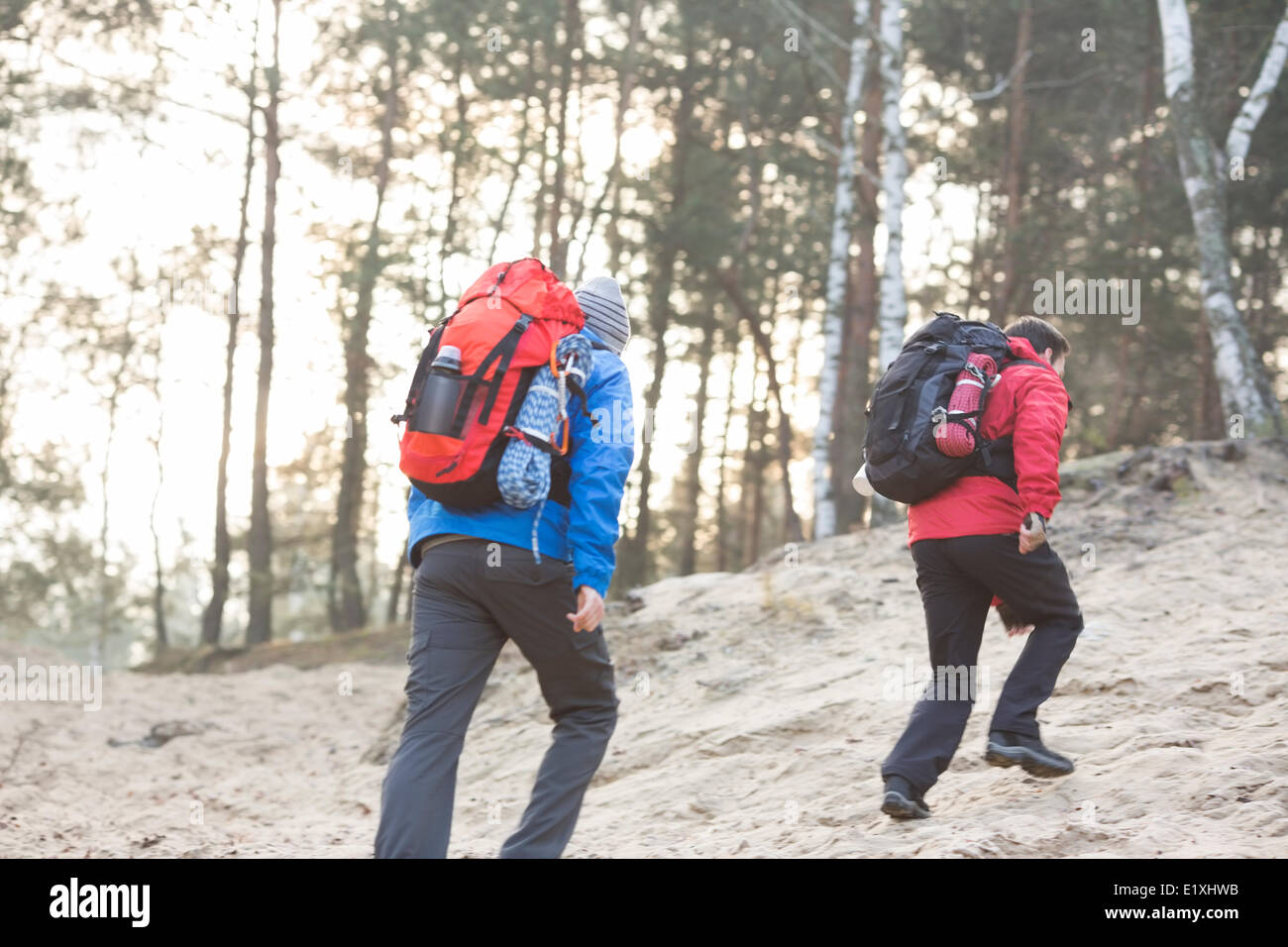 Männliche Rucksacktouristen Wandern im Wald Stockfoto
