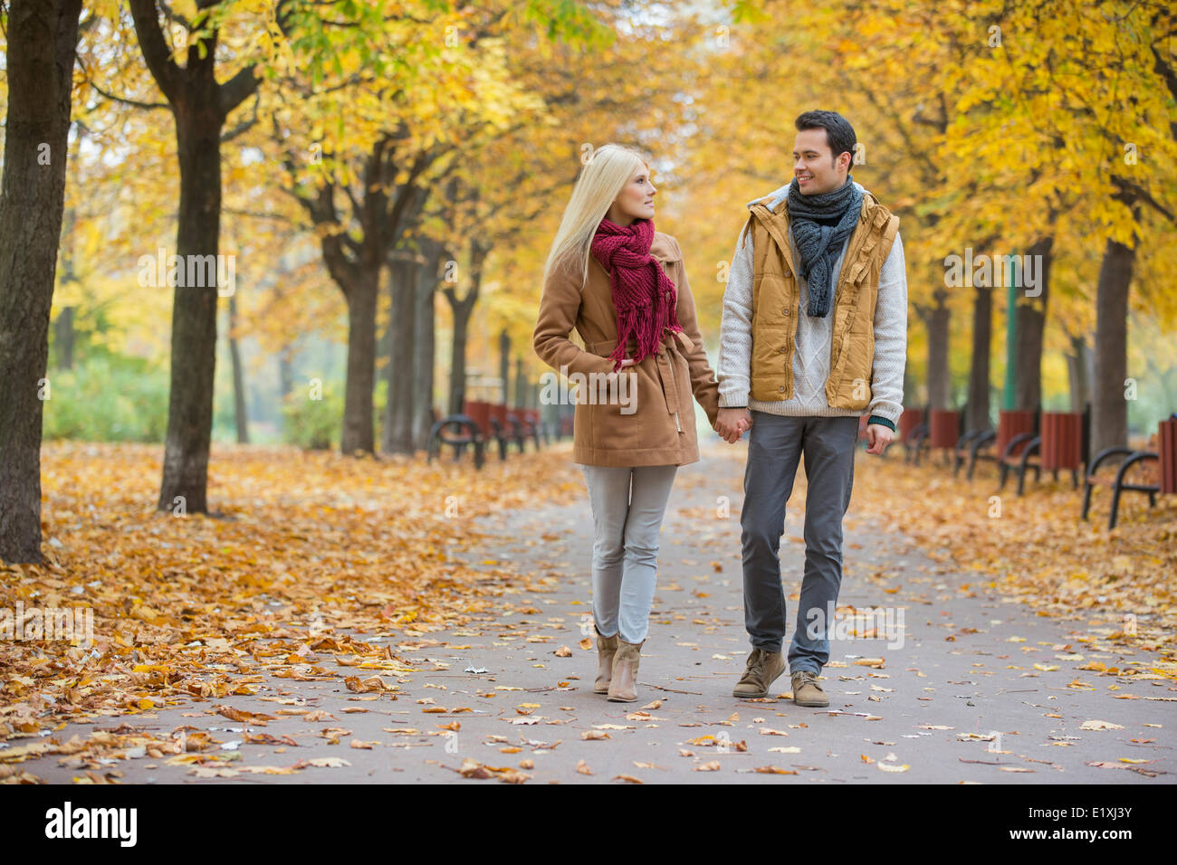Paar Hand in Hand spazieren im Park im Herbst Stockfoto