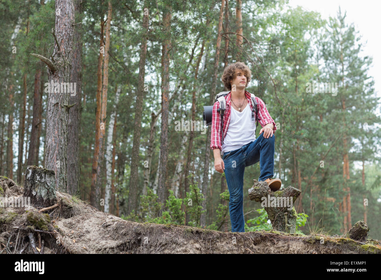 Voller Länge der männlichen Backpacker stehend im Wald Stockfoto