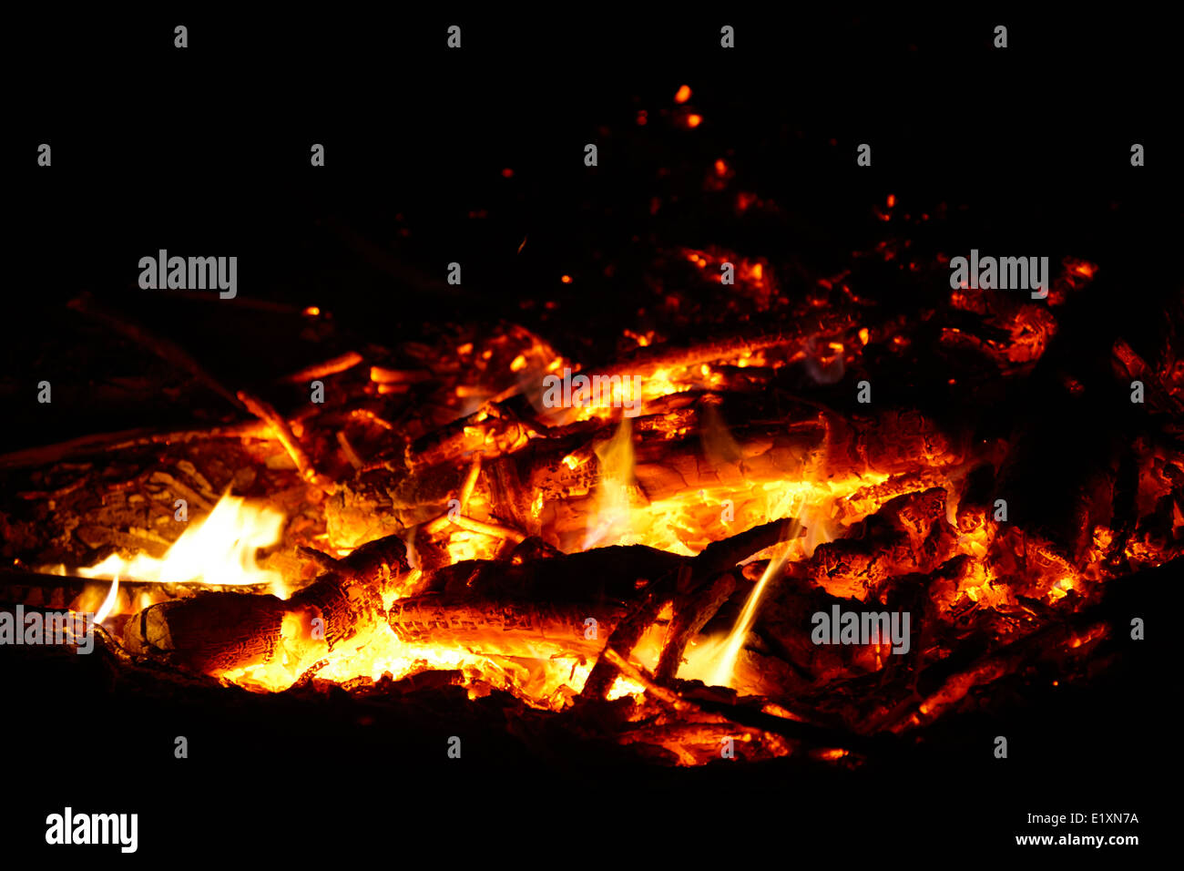 Verbrennung von Eukalyptusholz in einem intensiven Lagerfeuer Los Pellines chile Stockfoto