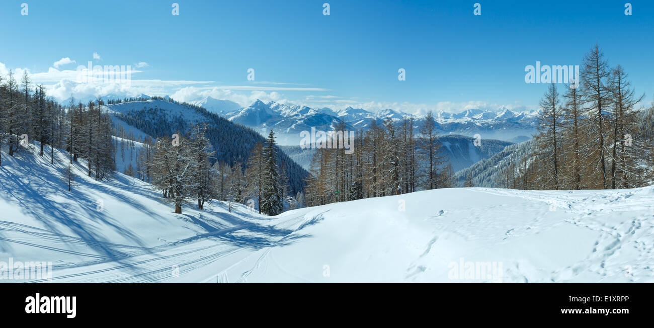 Winter Wald in der Nähe Dachstein Bergmassiv Stockfoto
