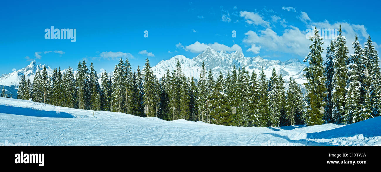 Winterpanorama Berg Tanne Wald Stockfoto