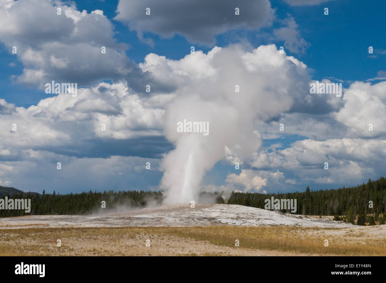 Old Faithful Stockfoto