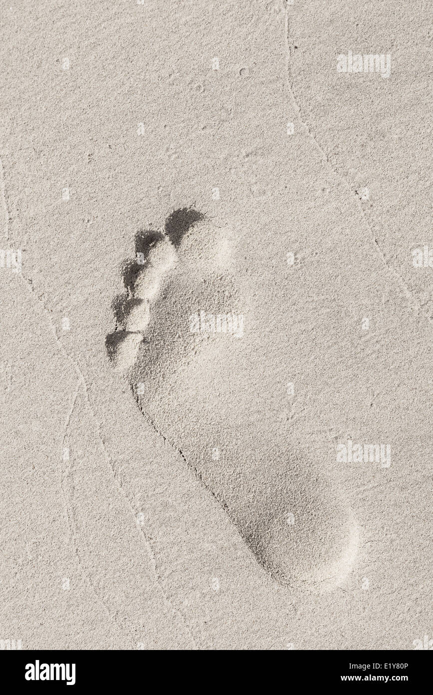 Mann-Fußabdruck in nassen gelben Sand am Strand Stockfoto