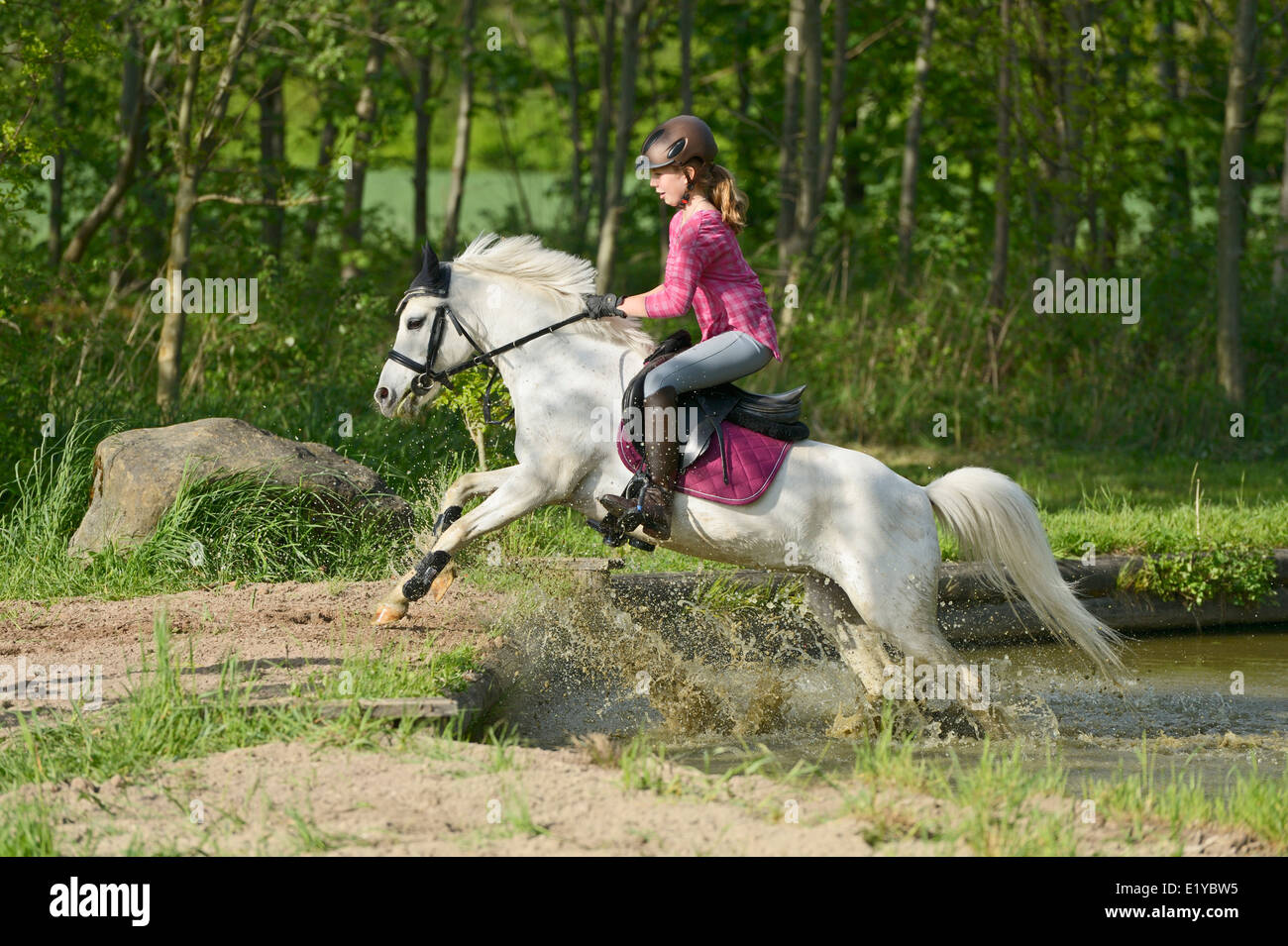 Elevin-jährige Mädchen auf der Rückseite ein Welsh Pony springen aus dem Wasser Stockfoto