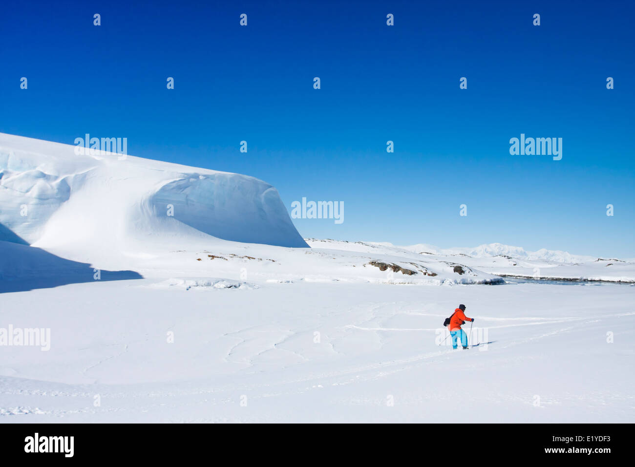 Mann geht auf Skiern. Gletscher im Hintergrund. Antarktis Stockfoto