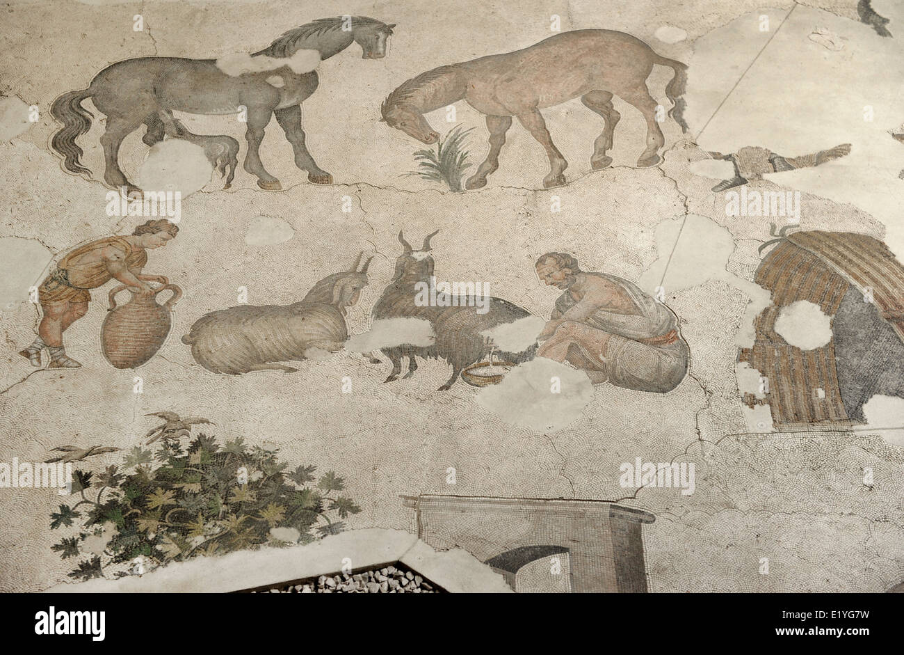 Großer Palast Mosaik-Museum. 4.-6. Jahrhunderte. Detail eines Mosaiks. Istanbul. Turkei. Stockfoto
