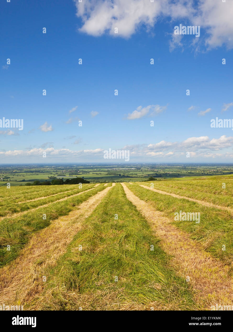 Eine neu geschnittene Heu-Feld auf einer hochgelegenen Wiese auf die Yorkshire Wolds, England, mit Blick auf Patchwork Ackerland im Sommer. Stockfoto