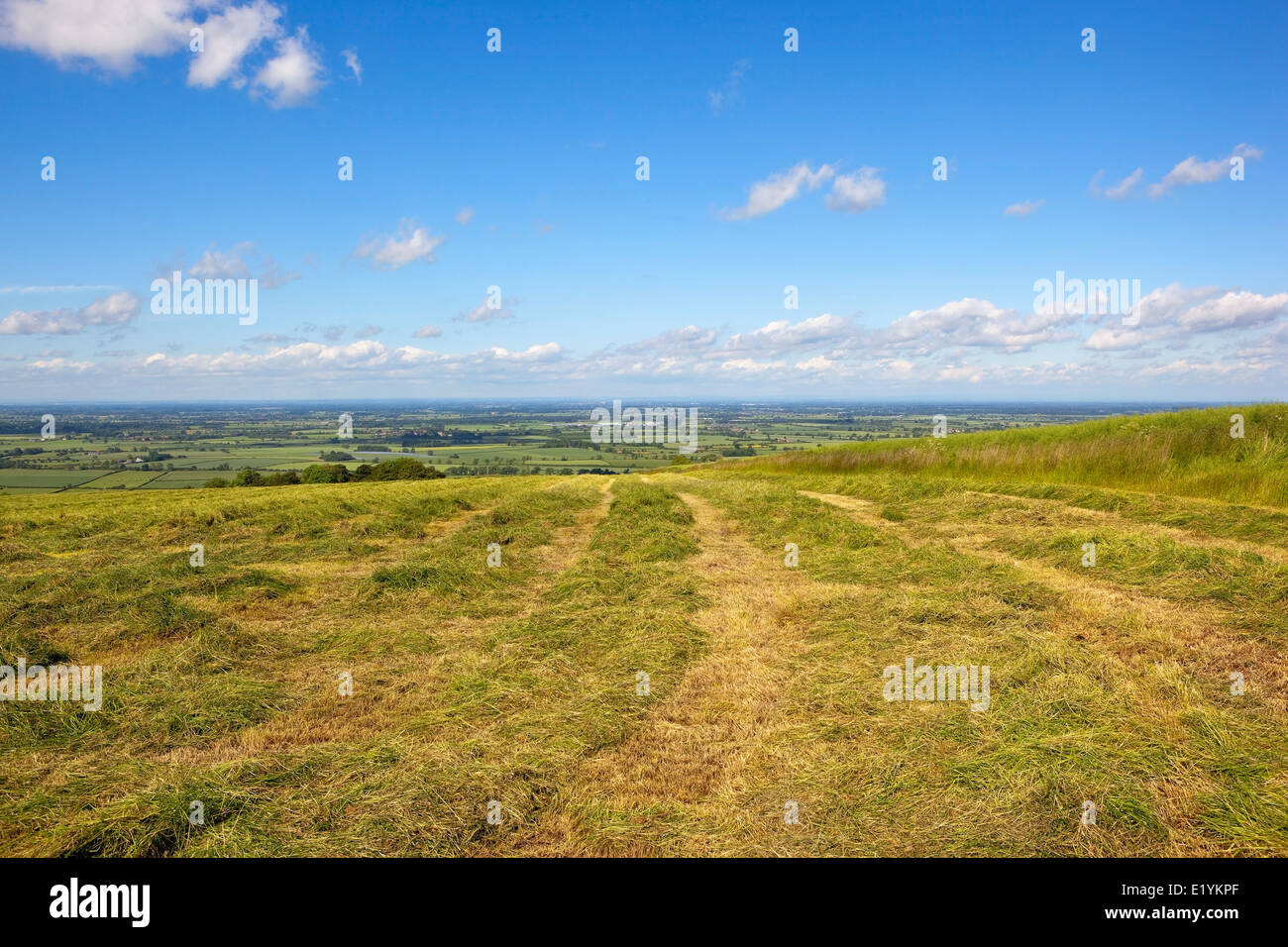 Frisch geschnitten eine Hochland Wiese mit Heu in die Yorkshire Wolds, England, mit Blick auf das Tal von York im Sommer. Stockfoto