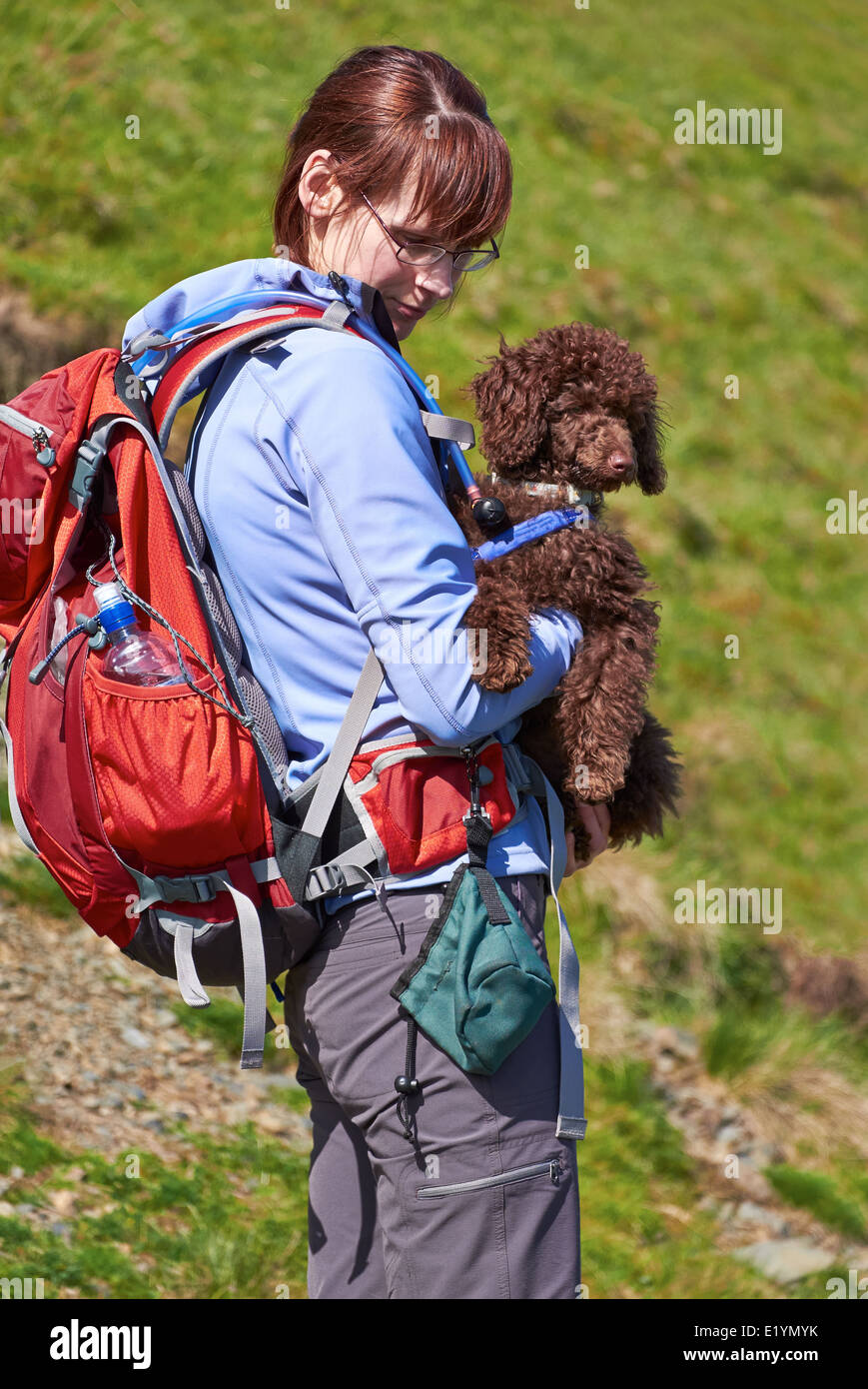 Welpe Hugel Stockfotos Und Bilder Kaufen Alamy