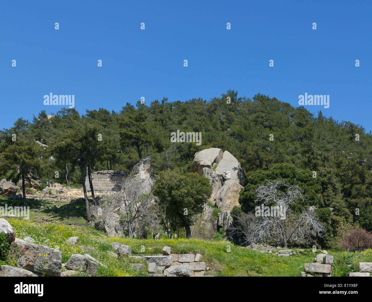 Rock von Zeus Blitz, Labranda, Türkei 140409 60367 aufgeteilt Stockfoto