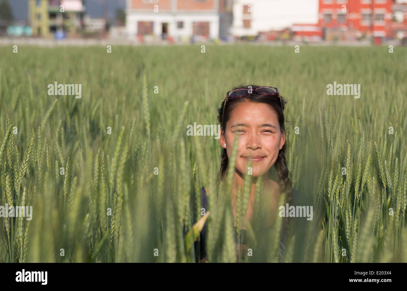 Kathmandu Nepal Nepali Kind posiert in Weizenfeld im östlichen Kathmandu 1 Stockfoto